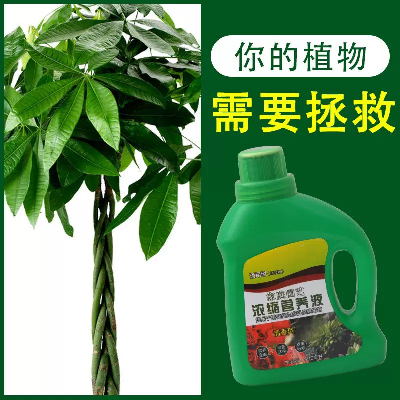 厂家直销植物营养液 浓缩植物通用型多肉发财树蔬菜叶面肥料 批发