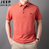 Fashionable summer polo, shirt, colored T-shirt, with short sleeve, 2022 collection, loose fit