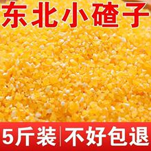 小碴子东北玉米渣大碴玉米碎棒子碴苞米茬子玉米糁玉米粥散装