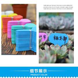 三代pvc花卉牌园艺标签T型花卉牌插地标签园艺100张一捆批发