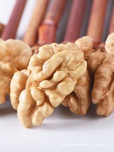 2024ºʬFcԭЋDzⶹ{ʳ