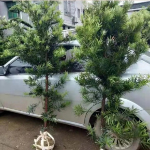 �_�h�ɘ���ȸ����ͥԺ�e���̨���Կ����������辰ӭ���ɾGֲ��