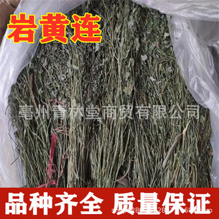 ��ș�����l ���S�B ���Sɏ �Һ� ���B �ջ��S�B ���S�B �䱳��