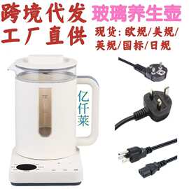 定制外贸多功能养生壶家用1.2L玻璃烧水壶英文跨境代发110V咖啡壶