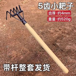 Five-Tooth Steel Rake, Beach Rake, All-Steel Sea Rake, Clam Digging Rake, Peanut Picking Rake