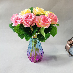 �������õ�彁�����^����õ�廨���ϻ����z���S�����l�����b�