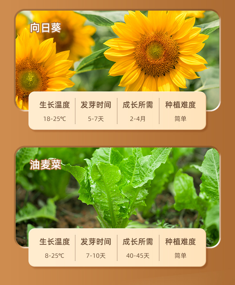 阳光种植小屋详情 (7).jpg