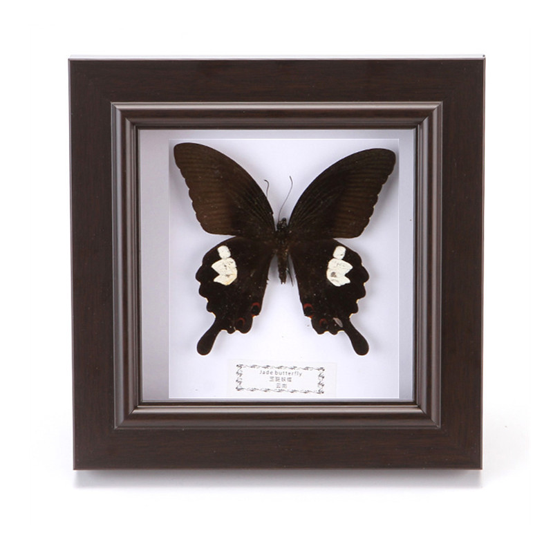 539f4fb6ef0aff96c7ca4a090e5ca2