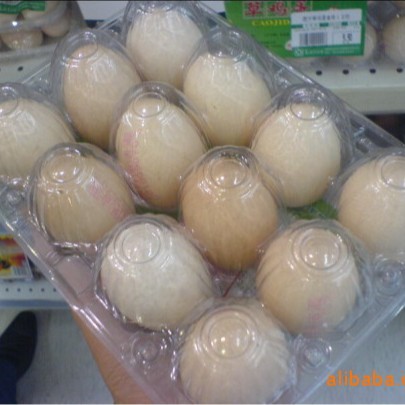 宁波鸡蛋壳塑盒  量大从优