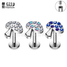 ����F136�Ѷ������ʯ�ɰ�Ģ�����Ƕ�G23�ѺϽ𴩴���Ʒŷ���羳