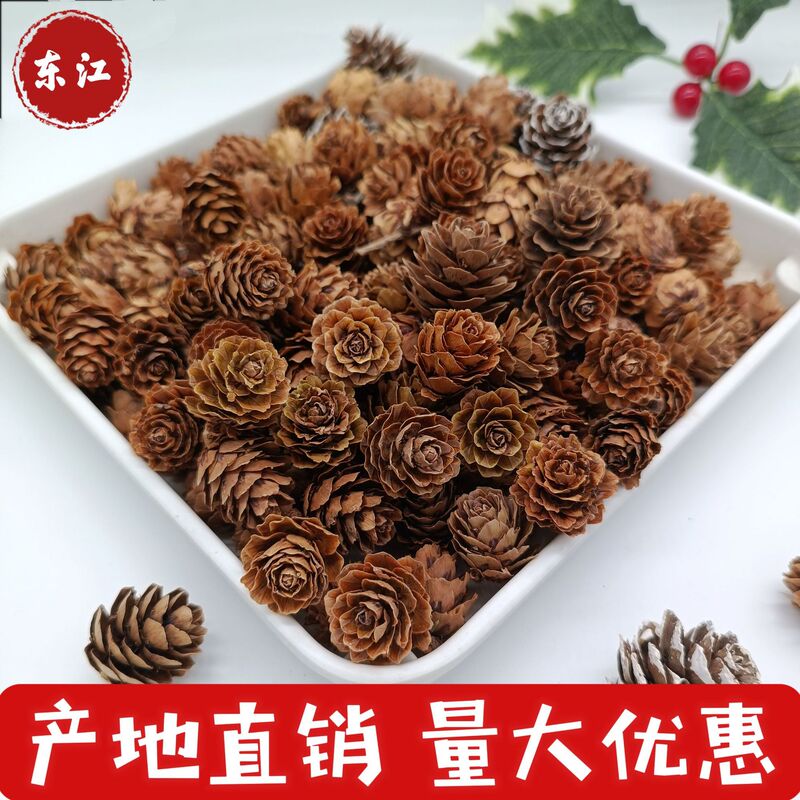 Pine Cones, Larch Dried Flowers, Living Room Decorations, Photography Props, Handmade DIY Flower Arrangements, Decorative Home Furnishings, Small Pine Cones