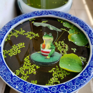 ��ˮ���ܺ��~���ͥԺ�̨�[���Ҿӳ˛����@΢���^�����쾰�b�