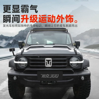 300 Luminous Car Logo with: Other Car Modifications