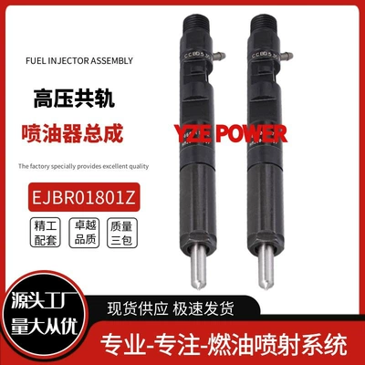 Ejbr01801Z Common Rail Injector Oil pump, nozzle