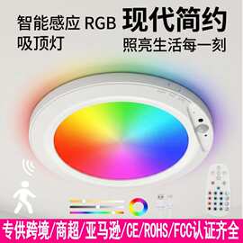 爆款无线充电式磁吸RGB红外人体感应灯过道灯入户走廊玄关阳台灯