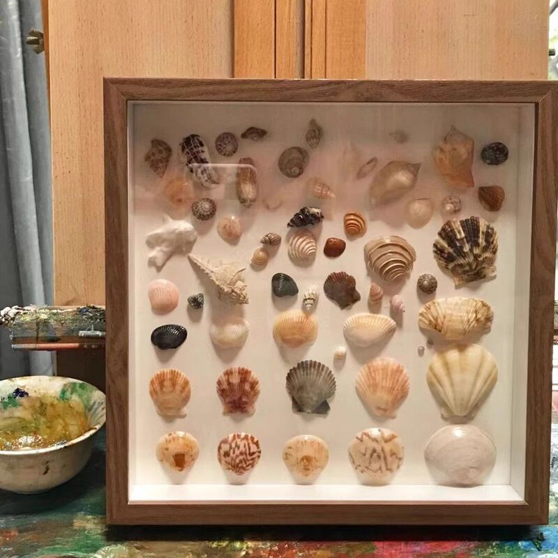 3D Hollow Photo Frame Specimen Frame DIY Tabletop Display Frame for Seaside Shells, Conch, Dried Flowers, and Memorabilia