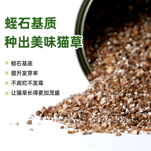 Cat Grass Canned Headache Lazy Cat Grass Planting Kit Cat Snack Hairball Cat Green Plant Pet Supplies