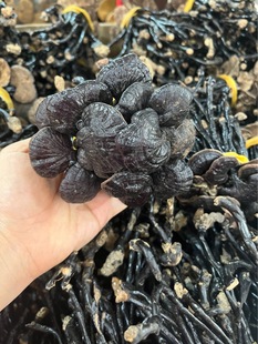 ���Ĵ������l���`֥��F؛����