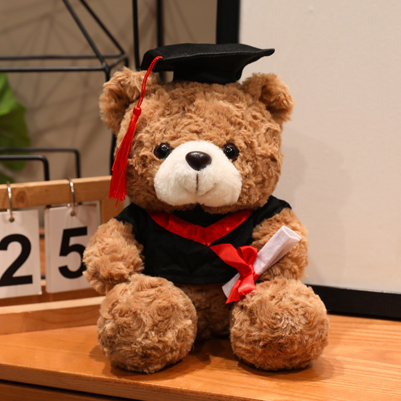 Graduación Teddy Bear Puppy Doctor Teddy Bear School Print logotipo regalo de graduación