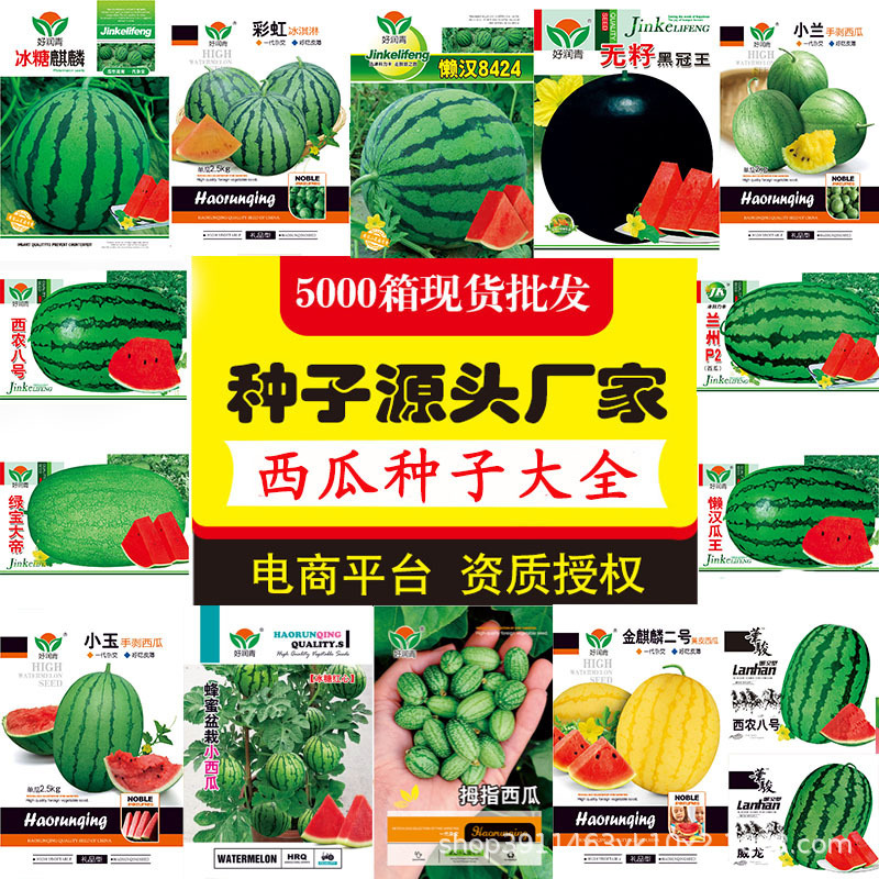 Source Manufacturer Wholesale Watermelon Seeds Rock Sugar Kirin 8424 Potted Honey Little Lazy Man Melon King Black Skin Seeds
