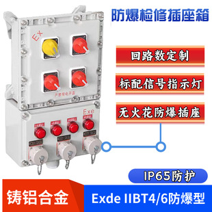 Customized Explosion-Proof Maintenance Distribution Box, the Number of Circuits Is Customized as Required Bt4 Cast Aluminum Alloy Power Socket Control Box