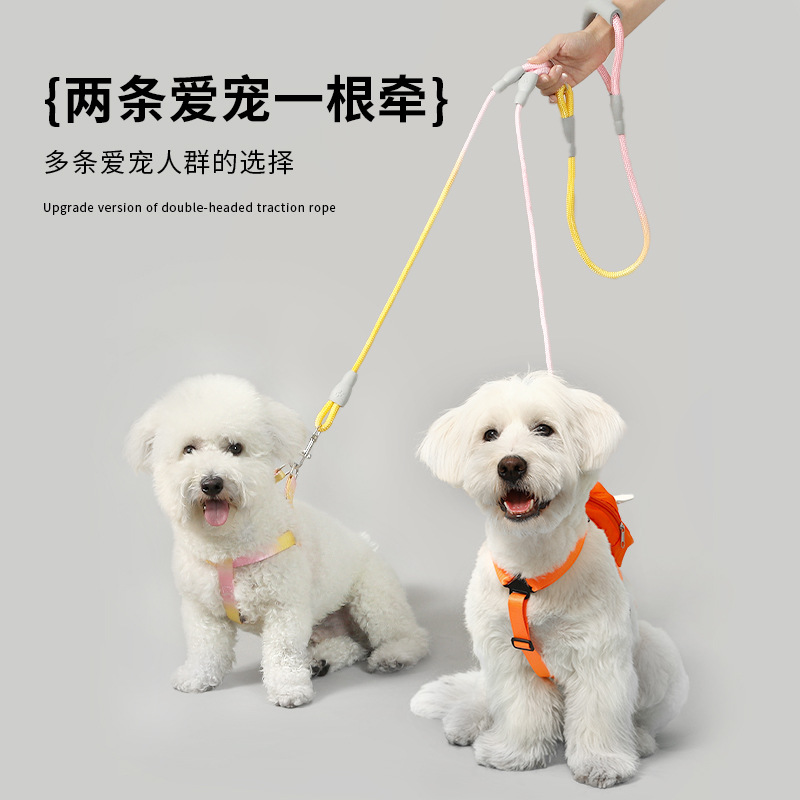 Cuerda para pasear a los perros de doble cabeza de color degradado, una correa para dos mascotas, cadena para perros de tamaño mediano anti-bobinado, correa para perros