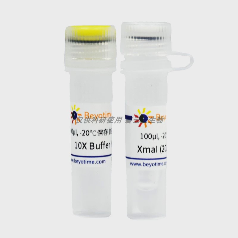 XmaI D6730S D6730M D6730L碧云天生物