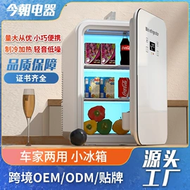 车载冰箱;车载电器