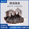 factory Dalian Fresh sea cucumber Sea cucumber precooked and ready to be eaten sea cucumber wholesale 500g Factory Wholesale Non dried ginseng