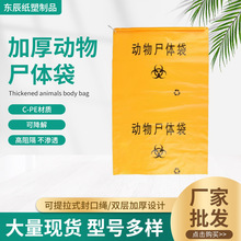 �S�����l�Ӻ�o����̎��������������w�����ƴ��Bֳ����������B