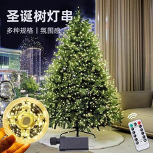 跨境圣诞树防水新款铜线灯遥控婚庆绿植藤条庭院装饰灯节日氛围灯