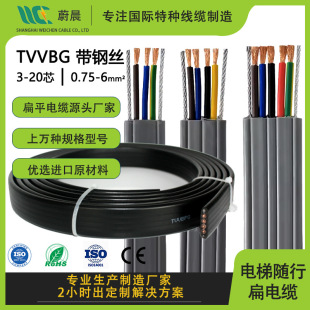 TVVBG����S����|���{��ƽ����о 3*0.75 2.5ƽ����䓽z�����C