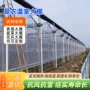 养殖简易遮阳温室大棚