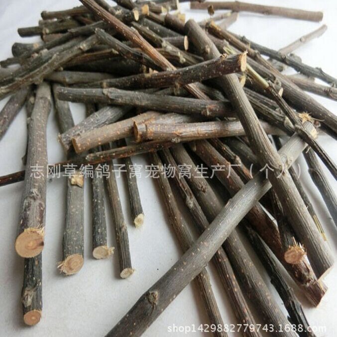 Pets Molar stick Apple branch rabbit Totoro Hamsters Watkins Bear Guinea pigs 5 pounds Apple wholesale