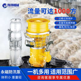不锈钢永磁潜水泵大流量防洪抽水耐腐蚀变频排涝泵潜污泵自吸泵