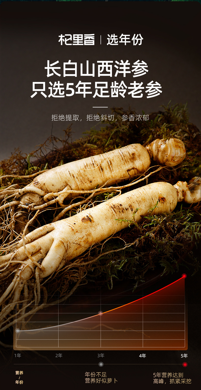 American Ginseng Root Slices 100g Round Jar 0.8-1.0cm Changbai Mountain Panax quinquefolius for Tea and Soup key features