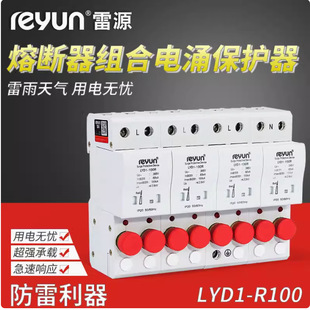 LYD1-R100 4P Fuse Combination Power Surge Protector Shanghai Leiyuan Surge Lightning Protector