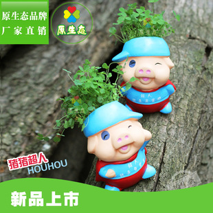 ԭ���B�L���^���� ֲ�﹤ˇƷ ���⻨�� �YƷ ӡ��logo �i�i����