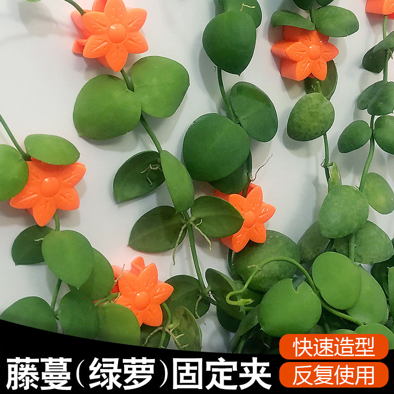 アマゾンの新型の花の緑のロロの固定器の痕跡がない家庭用のフックの掛け金の壁掛けのつるの植物のクリップ|undefined