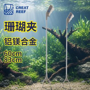 �ձ������� CREATREEF �X�V�Ͻ�ɺ���A�����P��ˮ��ˮ����ˮ�݊A