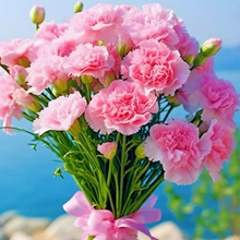 �ذ꿵��ܰ�N���̨ͥԺ���������ļ����N�������Ի��绨�N����