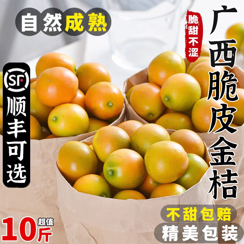 广西脆皮金桔桂林小金桔整箱包邮新鲜现摘水果当季小金桔一件代发