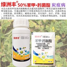 绿洲丰 50%苯甲肟菌酯苯苯醚甲环唑肟菌酯西瓜真菌炭疽病杀菌剂