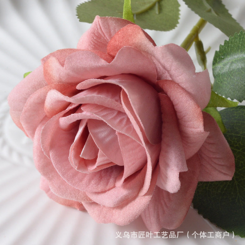 엘사 장미 콩 페이스트