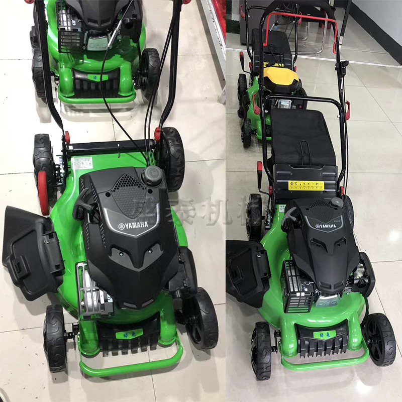 电动割草机手推式小型家用除草机手推式除草机草坪修剪机自动剪草