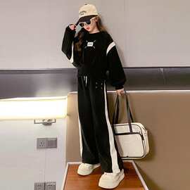 女童套装2024新款宝宝韩版时髦春装儿童超洋气休闲潮流长款两件套