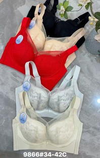 ��r��9866�¿��C��������͸�Ɑ�o�ż�Ƭ�������@С��������