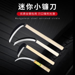 ���������y砵���ݵ��r�ø��С砵��B��С̖��X�����Ӹ�̵�