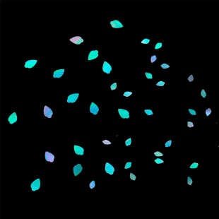 Peony Petal-Shaped Natural Luminous Shell Original Piece Mother-Of-Pearl Flower Lacquer Inlaid Lacquer Art Lacquer Painting Material