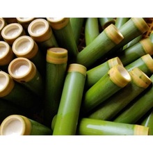 竹筒粽子模具商用家用新鲜活塞式糯米饭蒸桶现砍现发竹子厂家直销